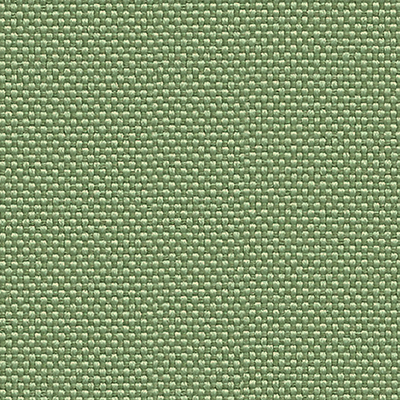    Camira > QUE13 Sea Grass